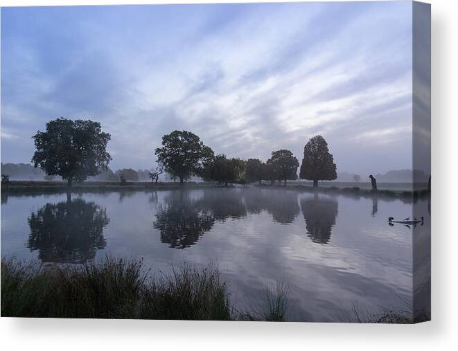 Reflections Canvas Print featuring the photograph Reflections in Bushy by Andrew Lalchan