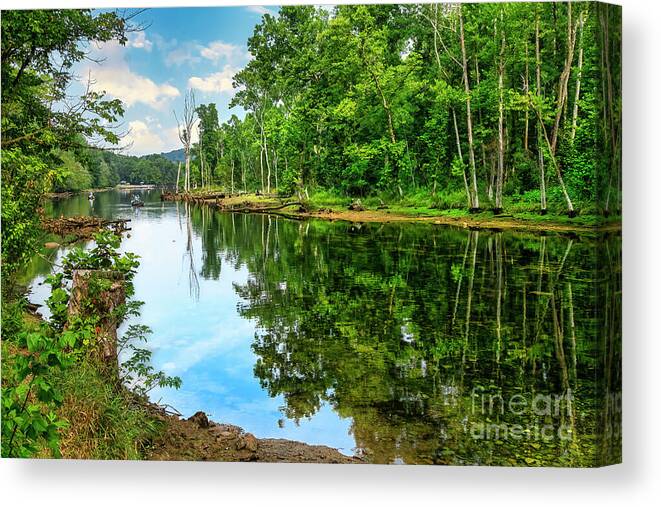 Reflections Canvas Print featuring the photograph Reflections on the South Fork by Shelia Hunt