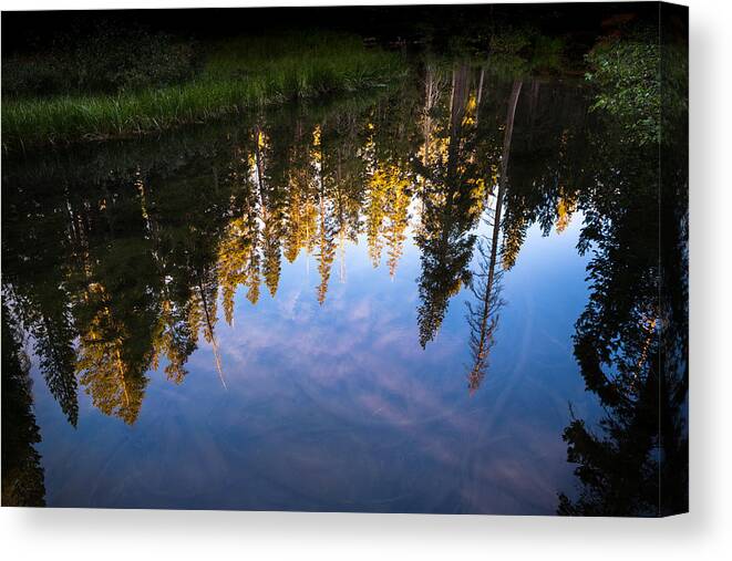 Reflections Canvas Print featuring the photograph Summer Reflections #1 by Shelby Erickson