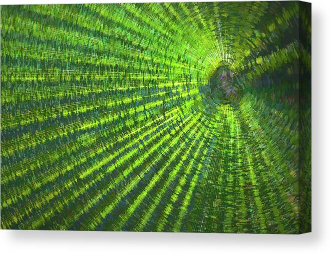 Abstract Canvas Print featuring the photograph Rejuvenate by Elvira Peretsman