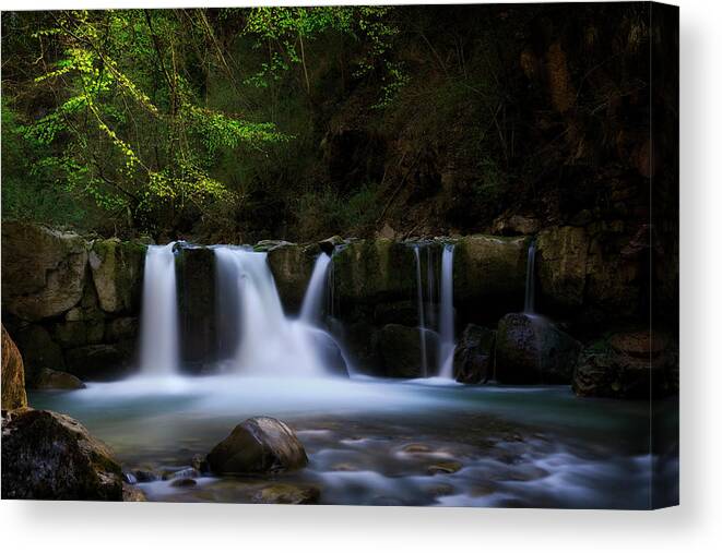 Waterfall Canvas Print featuring the photograph Renewal II by Dominique Dubied