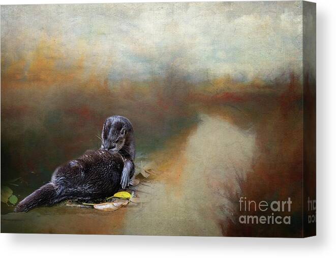 Spotted-necked Otter Canvas Print featuring the photograph Resting by the River by Eva Lechner