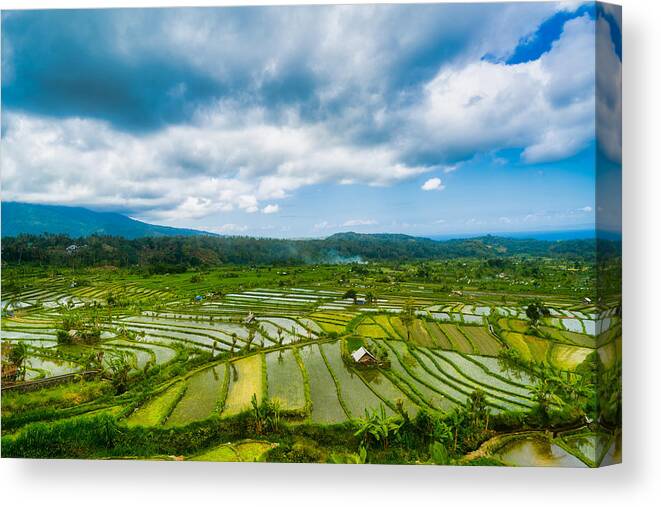 Curve Canvas Print featuring the photograph Rice paddy heaven in the Karangasem Regency of Bali, Indonesia by Mauro Tandoi