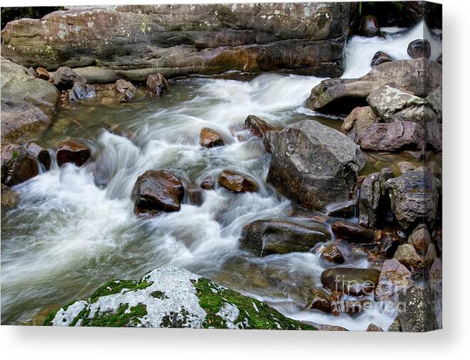 Cumberland Plateau Canvas Print featuring the photograph Richland Creek 15 by Phil Perkins
