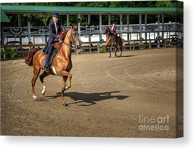 American Canvas Print featuring the photograph Riding The Practice Ring by Amy Dundon