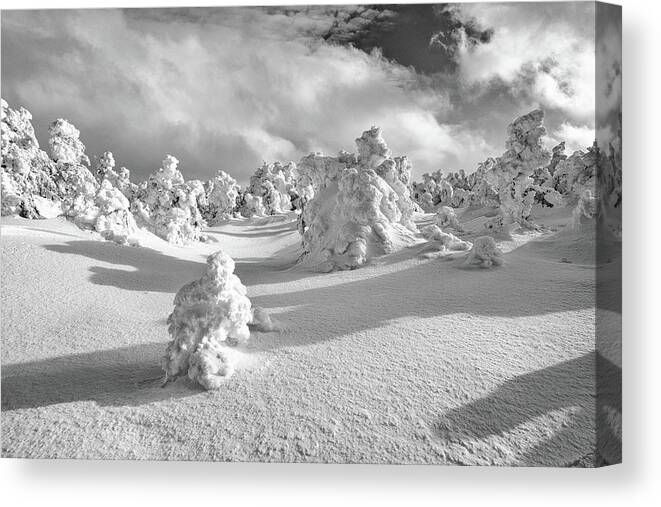 New Hampshire Canvas Print featuring the photograph Rime Forest by Jeff Sinon