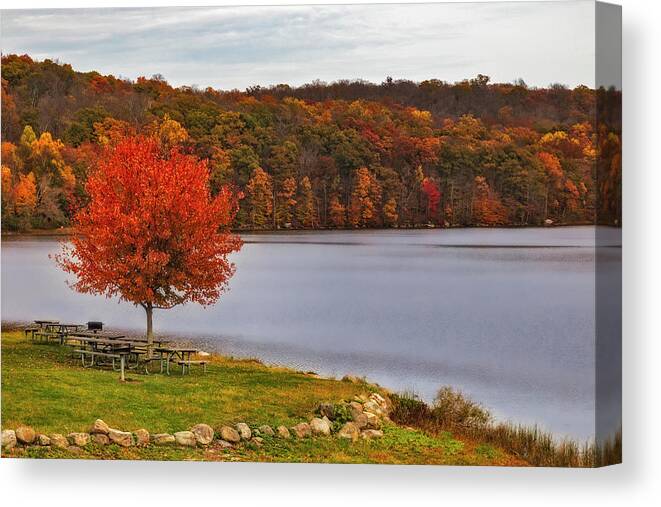 Ringwood State Park Canvas Print featuring the photograph Ringwood State Park by Susan Candelario