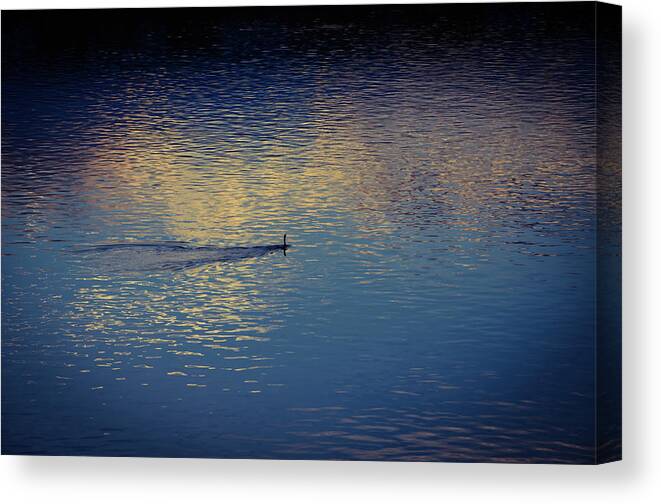 River Canvas Print featuring the photograph River Reflection Surprise by Marilyn MacCrakin