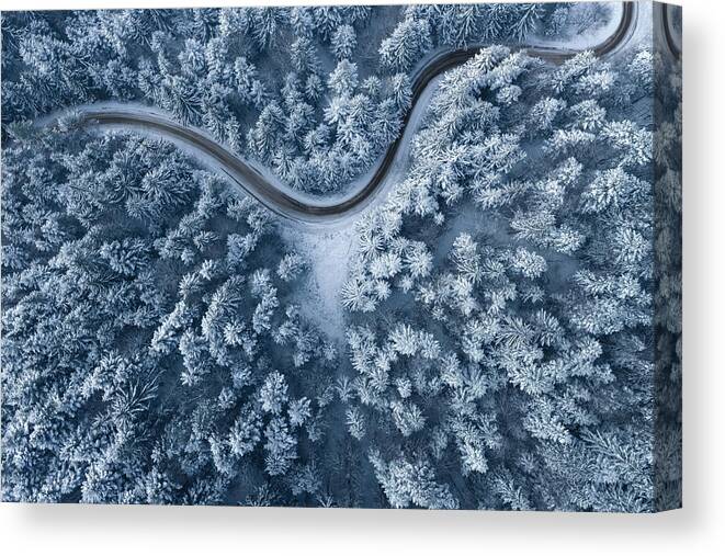 Environmental Conservation Canvas Print featuring the photograph Road Leading Through The Winter Forest by Borchee