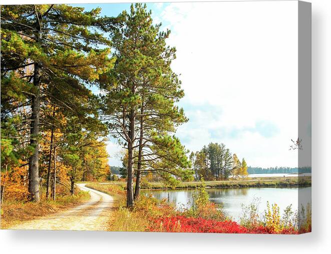 Seney National Wildlife Refuge Canvas Print featuring the photograph Road Through the Wildlife Refuge by Robert Carter