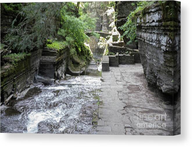 Robert Treman State Park Canvas Print featuring the photograph Robert Treman State Park 30 by William Norton