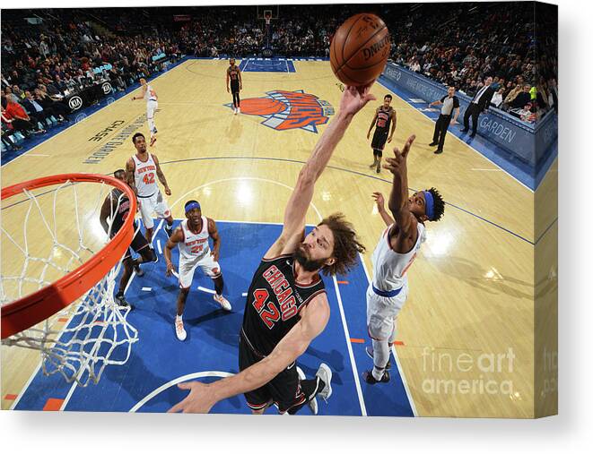Nba Pro Basketball Canvas Print featuring the photograph Robin Lopez by Jesse D. Garrabrant