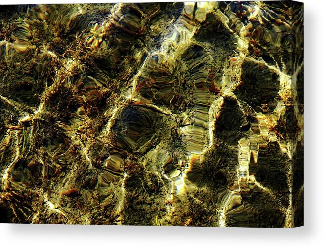 Abstract Canvas Print featuring the photograph Rock Bottom by Debbie Oppermann