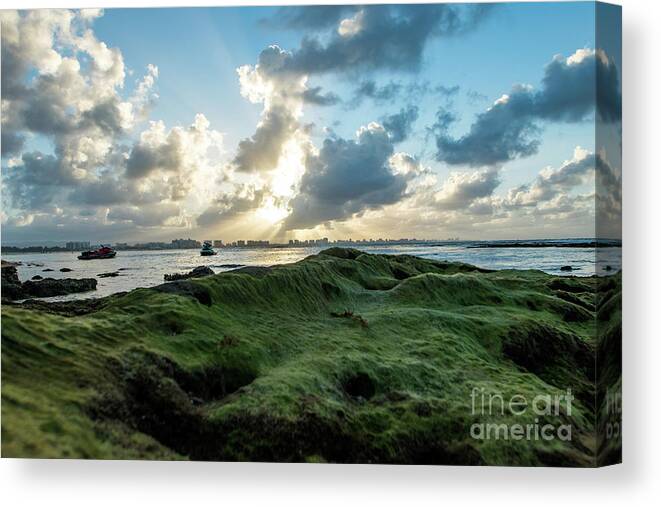 Piñones Canvas Print featuring the photograph Rocks Covered in Moss at Sunset, Pinones, Puerto Rico by Beachtown Views