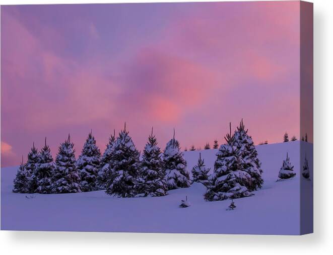 Rocks Canvas Print featuring the photograph Rocks Estate Winter Sunset Oil Paint 2 by White Mountain Images