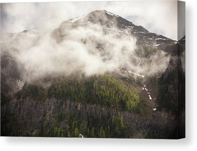 Mist Canvas Print featuring the photograph Rocky Mountain Mist by Carolyn Ann Ryan