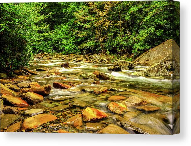 Smokies Canvas Print featuring the photograph Rocky Stream in the Smokies 003 by James C Richardson