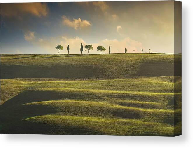 Tree Canvas Print featuring the photograph Rolling hills, cypress and pine trees. Tuscany, Italy by Stefano Orazzini