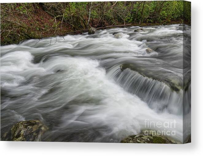 Middle Prong Little River Canvas Print featuring the photograph Rolling Whitewater by Phil Perkins