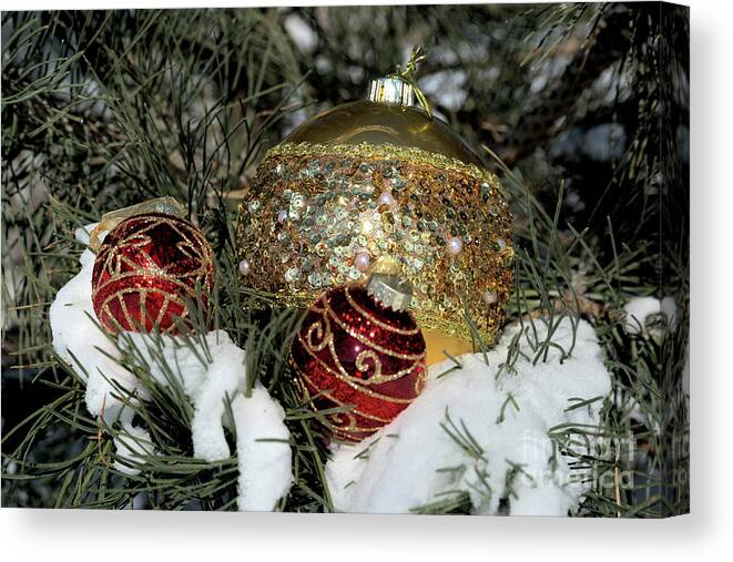 Fextive Canvas Print featuring the photograph Round Holiday Ornaments Outdoors by Kae Cheatham