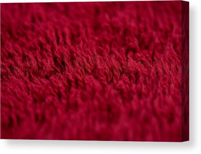 Rug Canvas Print featuring the photograph Rug by Image Source
