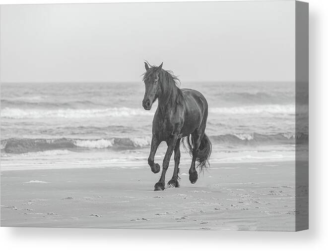 Equine Canvas Print featuring the photograph Horse Running on the Beach Photograph by JBK Photo Art