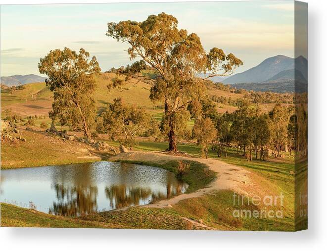 Dam Canvas Print featuring the photograph Rural Landscape 01 by Werner Padarin