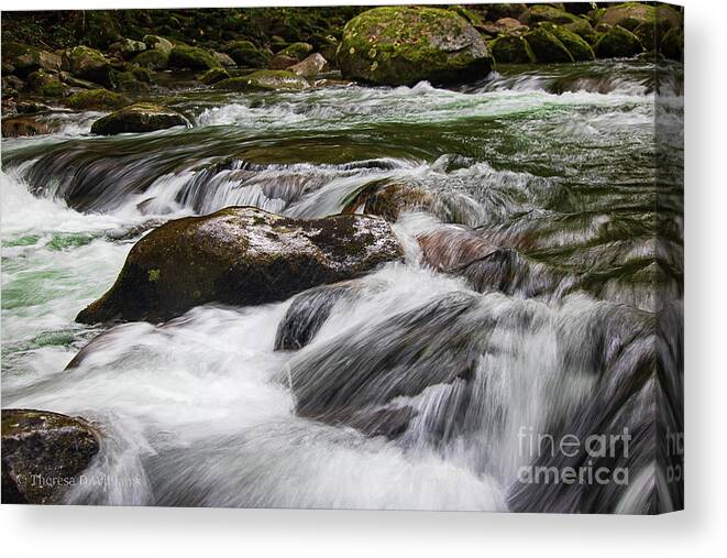 Landscape Canvas Print featuring the photograph Rushing mountain water, Smoky Mountains, Big Creek North Carolina by Theresa D Williams