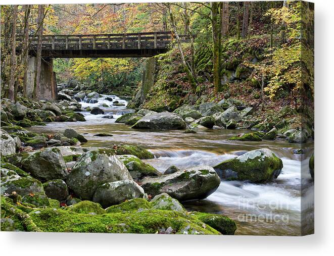 Autumn Canvas Print featuring the photograph Rustic Wooden Bridge by Phil Perkins