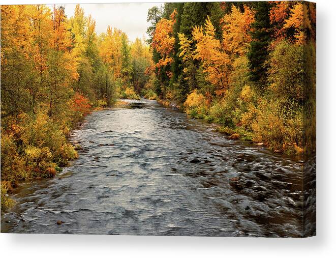 Bridge Canvas Print featuring the photograph Sacramento River Fall Colors by Mike Lee