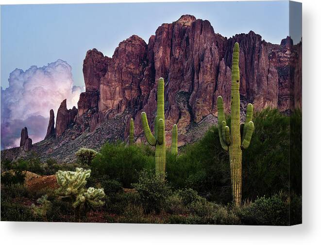 Cactus Canvas Print featuring the photograph Saguaro Cactus and the Superstition Mountains by Dave Dilli