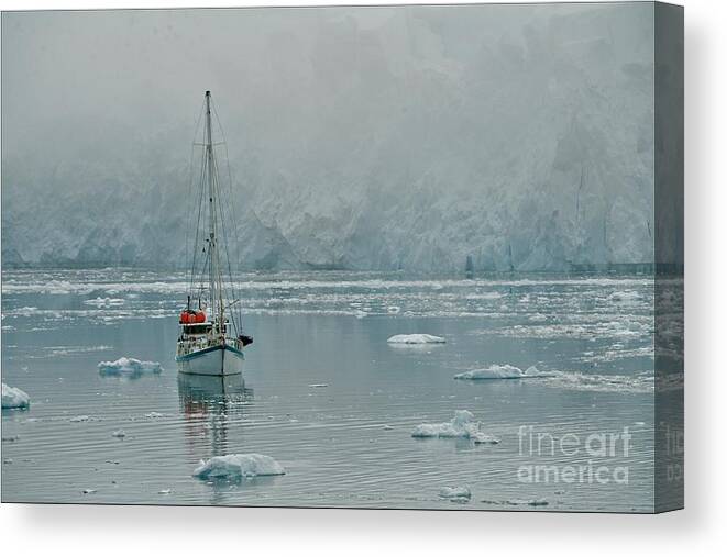 Sailing In Antarctica Canvas Print featuring the photograph Sailing Under down under by Darcy Dietrich