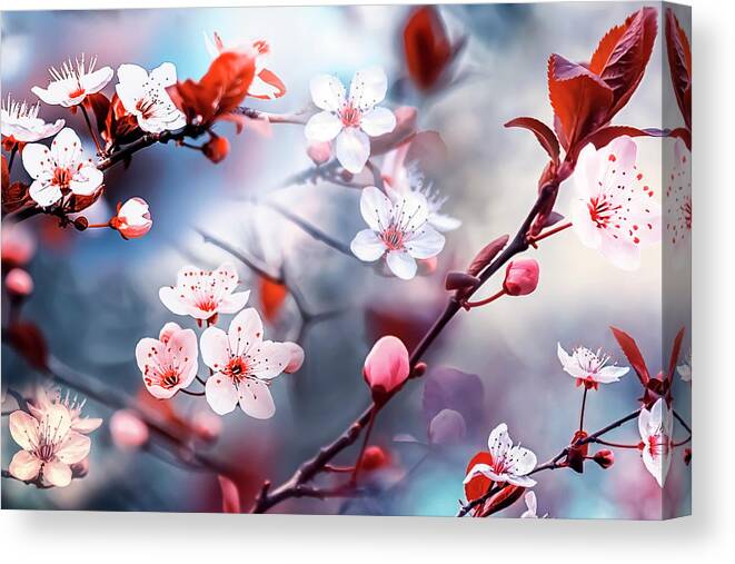 Apricot Canvas Print featuring the photograph Sakura by Manjik Pictures
