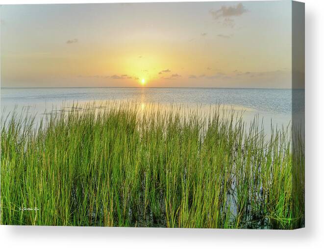 Howard Canvas Print featuring the photograph Salt Grass Sunset by Christopher Rice