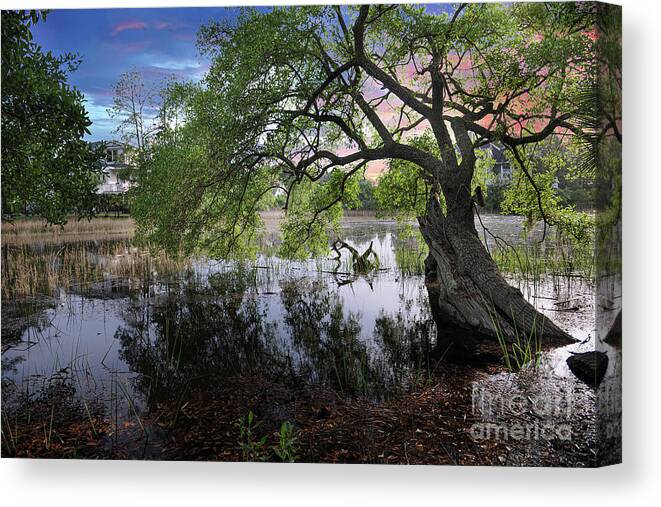 Salt Marsh Canvas Print featuring the photograph Salt Marsh - Sunset - Live Oak Tree by Dale Powell