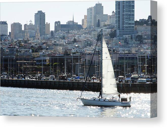 San Francisco Canvas Print featuring the photograph San Francisco. Bay. 5 by Masha Batkova