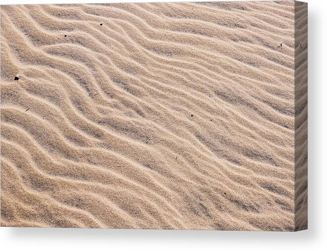 Beach Canvas Print featuring the photograph Sand Waves in the Dunes by Rose Guinther