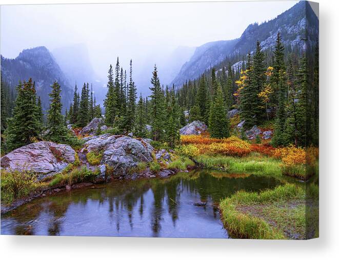 Saturated Forest Nature Forest Wilderness Wild Rocky Mountain National Park Rmnp Colorado American West West Rocky Rockies Mountain Mountains Tree Trees Pine Pines Pond Lake Light Reflection Storm Rain Fall Autumn Season Landscape Waterscape Forestscape Overcast Chad Dutson Saturation Wet Canvas Print featuring the photograph Saturated Forest by Chad Dutson