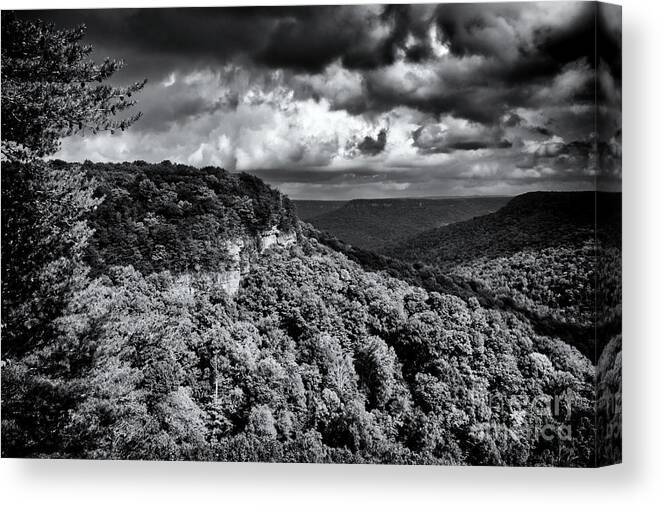 Savage Gulf State Natural Area Canvas Print featuring the photograph Savage Gulf 27 by Phil Perkins