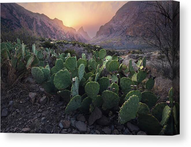 Big Bend Canvas Print featuring the photograph Safe Haven by Slow Fuse Photography