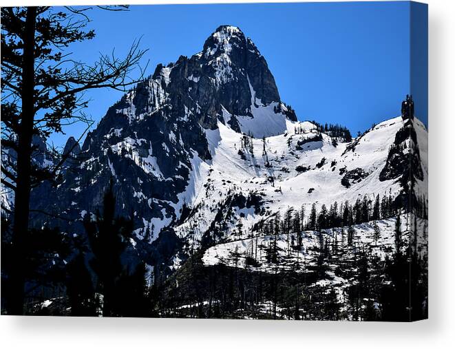 Wyoming Images Canvas Print featuring the photograph Scenic Grand Teton Photography 20180520-174 by Rowan Lyford