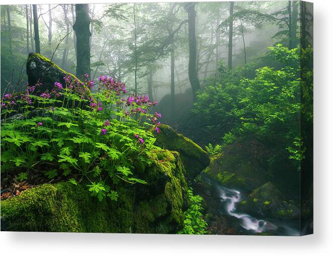 Geranium Canvas Print featuring the photograph Scent of Spring by Evgeni Dinev