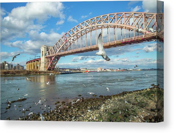 Astoria Canvas Print featuring the photograph Seagull Frenzy by Cate Franklyn