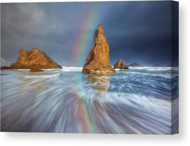 Oregon Canvas Print featuring the photograph Seagull Storm Watch by Darren White