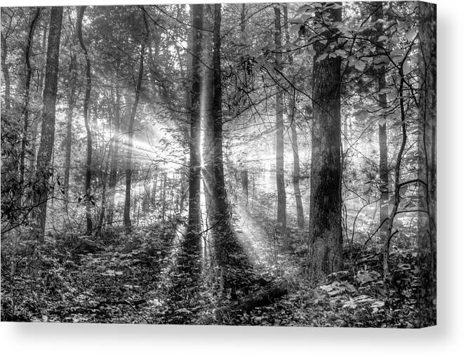 Black Canvas Print featuring the photograph Second Coming Black and White by Debra and Dave Vanderlaan