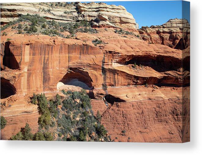 Sedona Canvas Print featuring the photograph Sedona from the Air #4 by Steve Templeton