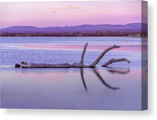 Briot Workshop Canvas Print featuring the photograph September 2020 Bosque del Apache Fallen Tree at Sunset by Alain Zarinelli