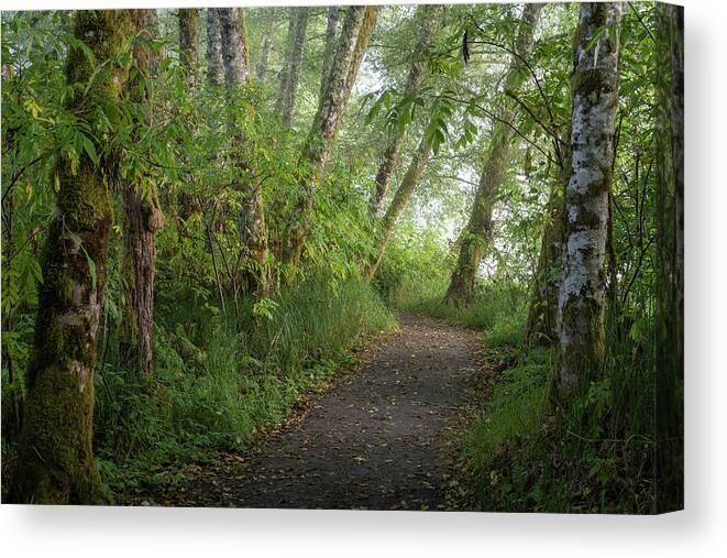 Astoria Canvas Print featuring the photograph September on the Trail by Robert Potts