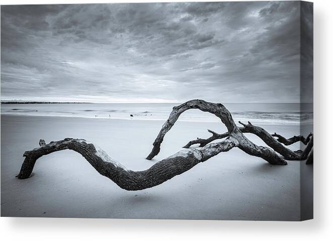 Driftwood Beach Canvas Print featuring the photograph Serene Driftwood Beach In Black And White by Jordan Hill