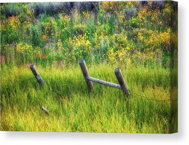 Artistic Canvas Print featuring the photograph Serenity by Rick Furmanek